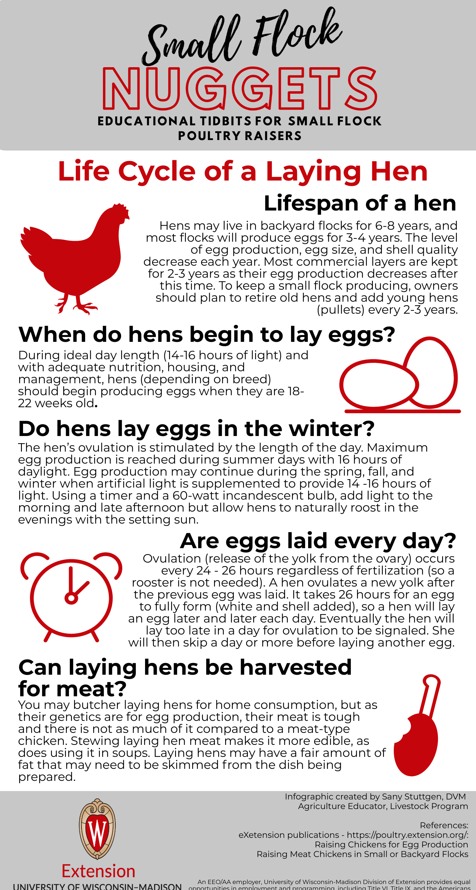 Life Cycle of a Laying Hen – Livestock