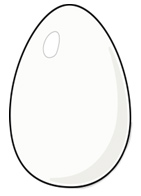 illustration of a white egg