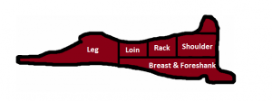 How Much Meat Should A Lamb Yield? – Livestock