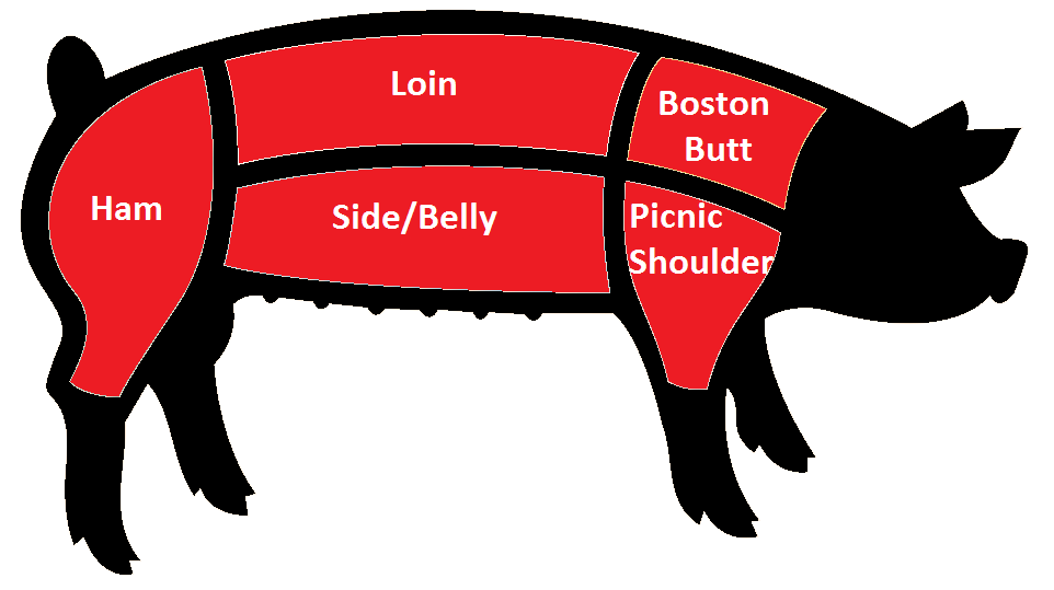 how-much-meat-should-a-hog-yield-livestock