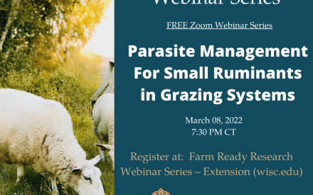 Extension’s Small Ruminant webinar provides tips on grazing systems and expanding your meat goat business