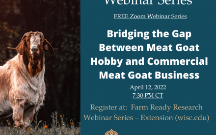 Extension’s Small Ruminant webinars highlight what to consider when expanding your meat goat business and provide a look at UW-Madison sheep research