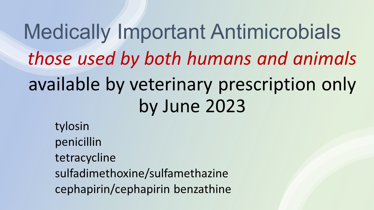 Are you ready? Antibiotics for livestock will be prescription only in