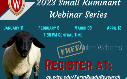 Learn the latest research on sheep and goat production from the UW-Madison Division of Extension