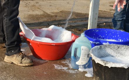 Soap and bucket biosecurity