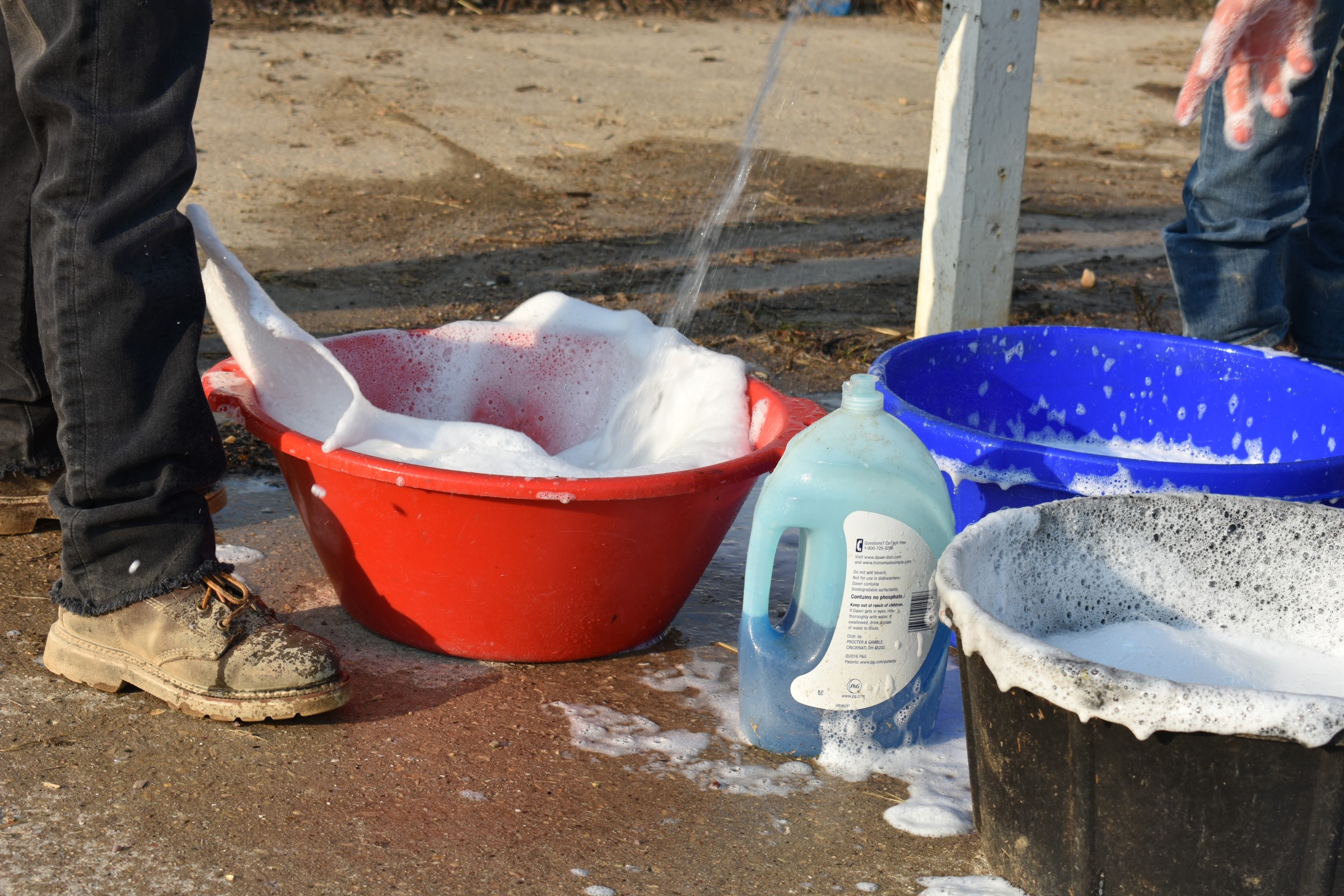 Soap and bucket biosecurity