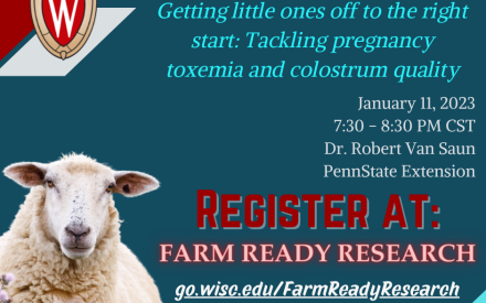 Learn about pregnancy toxemia and colostrum quality in small ruminants