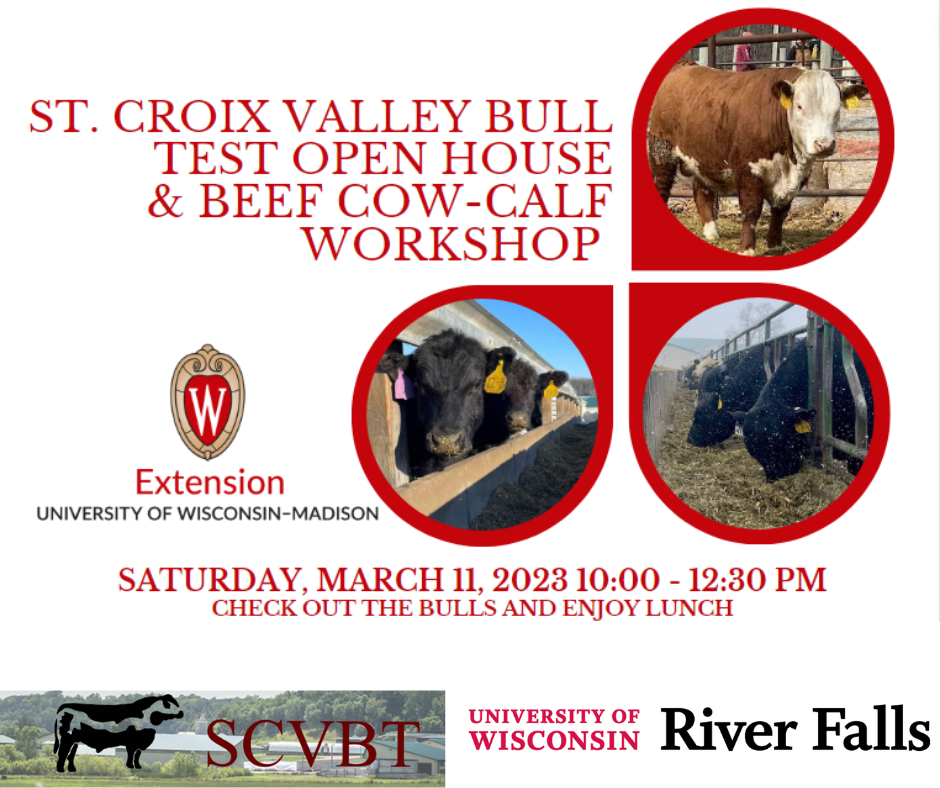 Beef Cow-Calf Workshop and Bull Test Open House scheduled for March 11 at  UW-River Falls – Livestock