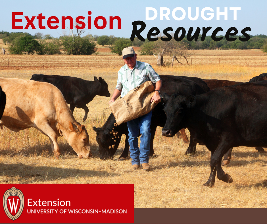Drought resources for livestock producers – Livestock