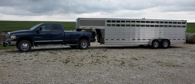 Are you ready to haul cattle?