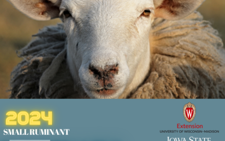 Sheep and goat producers: Access the latest research to enhance your operation during the Small Ruminant Webinar Series