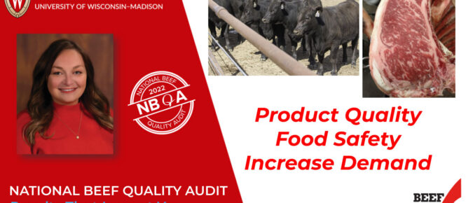 National Beef Quality Audit – Results That Impact You