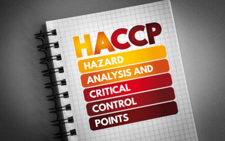 The image shows the acronym "HACCP" written in large bold letters, with each letter colored differently in yellow, orange, and red shades. Below the acronym, it is expanded as "Hazard Analysis and Critical Control Points", with each word written in increasingly darker red shades. The text appears on a grid-lined notebook or document, suggesting it is related to the HACCP food safety management system.