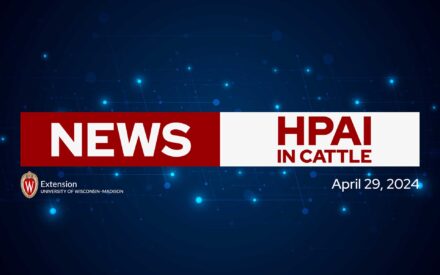 HPAI Update: Mandatory testing of lactating dairy cattle moving across state lines