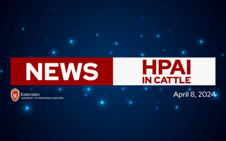 The image shows a news banner with the title "NEWS" and a subtitle "HPAI IN CATTLE". The date displayed on the banner is April 8, 2024. The background of the image features a dark blue space with glowing blue dots, suggesting a technology or science-related theme. The University of Wisconsin-Madison Extension logo is displayed at the bottom of the image.