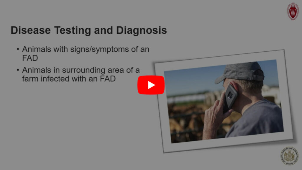 Slide titled 'Disease Testing and Diagnosis' with bullet points listing criteria for animal disease testing. An image shows a person using a mobile device or tablet while outdoors on what appears to be a farm setting, likely related to disease monitoring or diagnosis efforts. A play button indicates a possible video demonstration.
