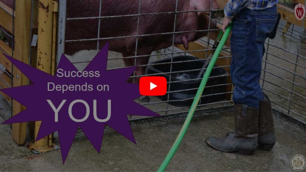 Image showing a person using a hose while standing next to an animal enclosure with pigs. A text graphic states 'Success Depends on YOU' with a play button, likely indicating a video related to proper livestock handling practices or farm worker responsibilities.