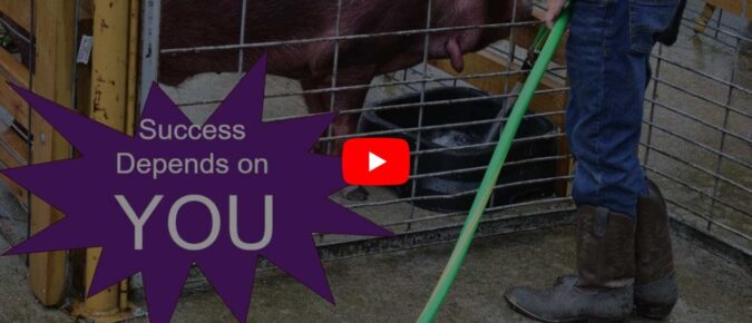 ▶ Watch: Biosecurity Practices For Livestock At Fairs, Shows, And Exhibitions