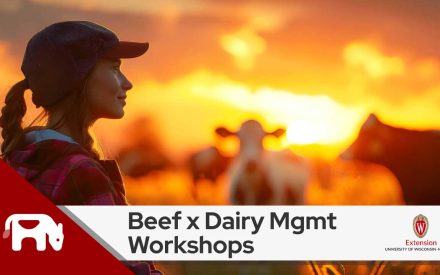 Beef x Dairy Management Workshops to be hosted by UW-Madison Division of Extension July 29 – August 1, 2024