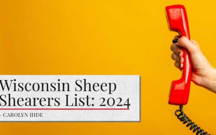 A red telephone handset being held up against a bright yellow background with text listing "Wisconsin Sheep Shearers List: 2024" and the name "Carolyn Ihde".