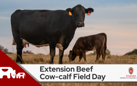 Extension Beef Cow-calf Field Day Scheduled for August 22, 2024