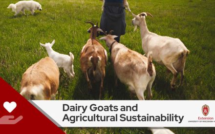 Dairy Goats and Agricultural Sustainability: October 21, 2024