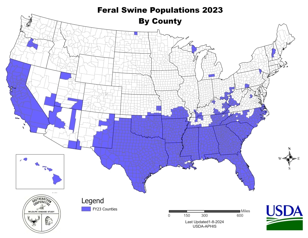 Map of the United States by county. Map shows counties where feral swine had been reported in 2023. USDA logo and Southeastern Cooperative Wildlife Disease Study logo shown at the bottom.