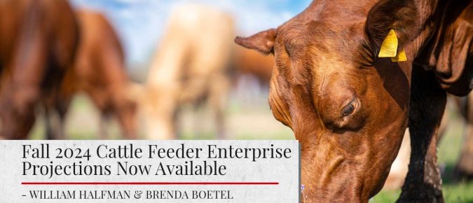 Fall 2024 Cattle Feeder Enterprise Projections Now Available