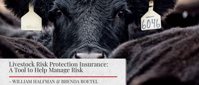 Livestock Risk Protection Insurance: A Tool to Help Manage Risk