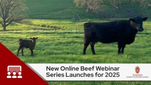 New Online Beef Webinar Series Launches for 2025