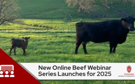 New Online Beef Webinar Series Launches for 2025