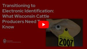 пёџ Watch Transitioning To Electronic Identification What Wisconsin