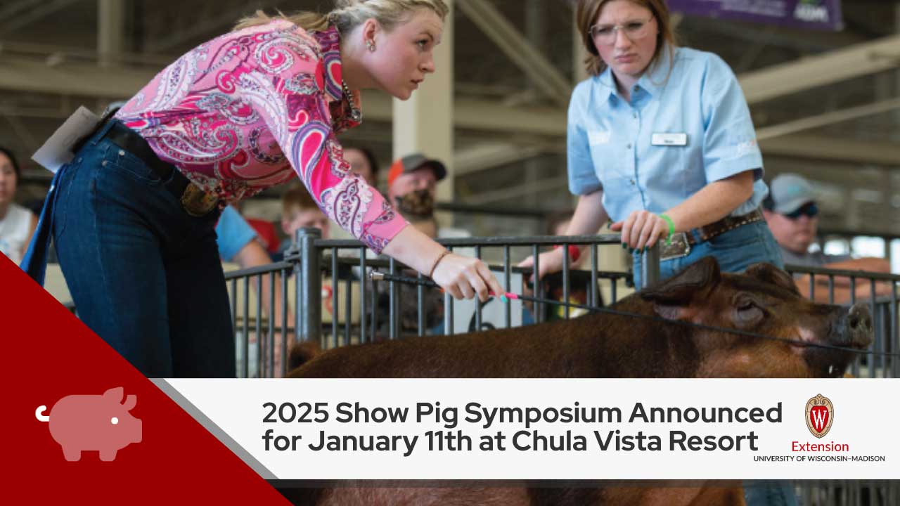 The image shows two people interacting with a pig at an agricultural show or event. One is wearing a colorful, patterned shirt, while the other is wearing a light blue shirt, indicating they are a volunteer or judge. The image is accompanied by text announcing a 2025 Show Pig Symposium scheduled for January 11th at the Chula Vista Resort, along with the logo of the University of Wisconsin-Madison Extension.