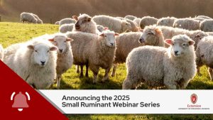 Announcing the 2025 Small Ruminant Webinar Series