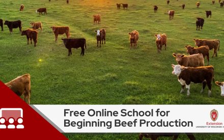 Free Online School for Beginning Beef Production