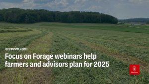 Focus on Forage webinars help farmers and advisors plan for 2025