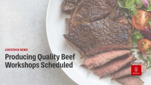 Producing Quality Beef Workshops Scheduled