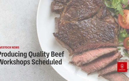 Producing Quality Beef Workshops Scheduled