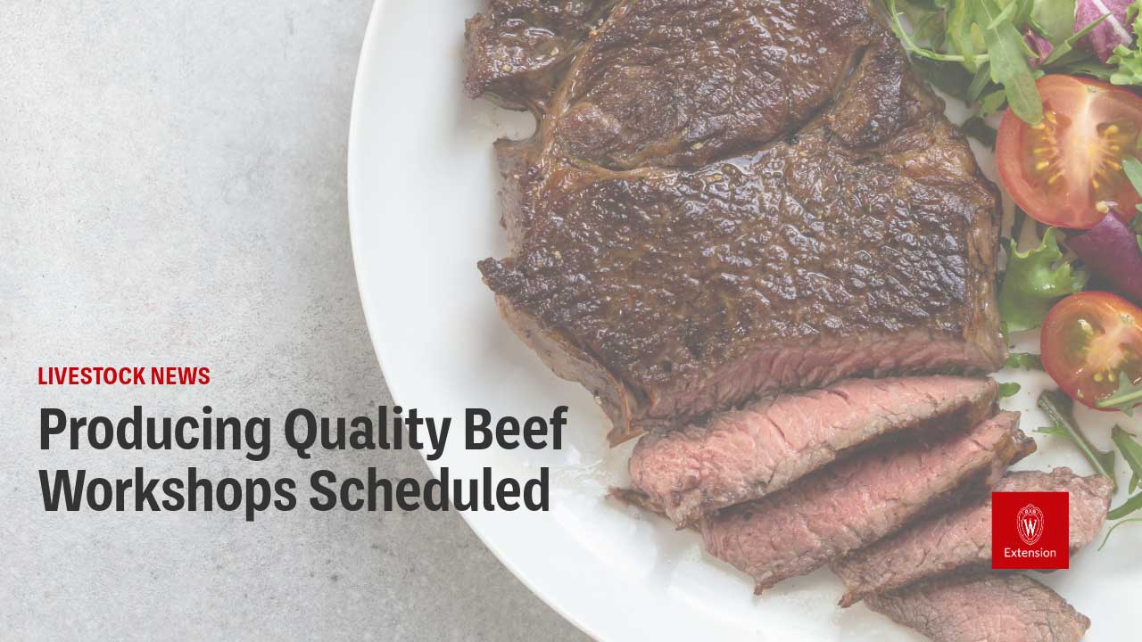 A white plate with sliced medium-rare beef steak and a small salad, with the headline 'Producing Quality Beef Workshops Scheduled' and a University of Wisconsin Extension logo.