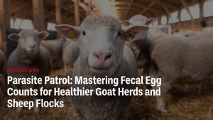 Parasite Patrol: Mastering Fecal Egg Counts for Healthier Goat Herds and Sheep Flocks