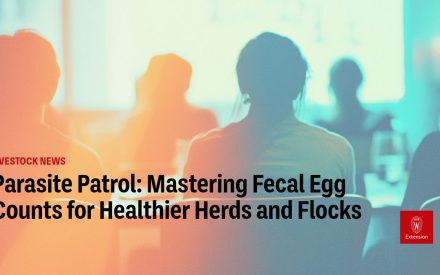 Parasite Patrol: Mastering Fecal Egg Counts for Healthier  Herds and Flocks