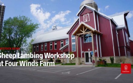 An office-styled building which has been designed to look like a traditional red barn. The title 'Livestock News: Sheep Lambing Workshop at Four Winds Farm' appears over the top. The University of Wisconsin-Madison Extension logo appears in the lower right corner.