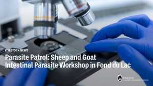Parasite Patrol: Sheep and Goat Producers are invited to an Intestinal Parasite Workshop in Fond du Lac, WI