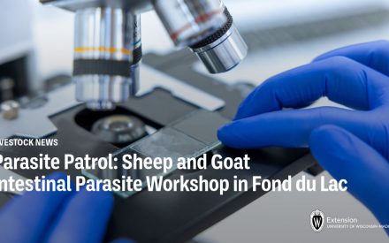Parasite Patrol: Sheep and Goat Producers are invited to an Intestinal Parasite Workshop in Fond du Lac, WI