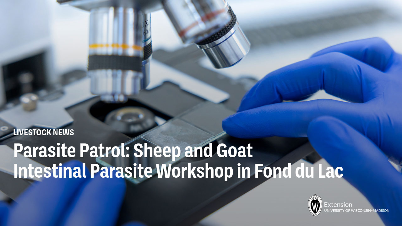 A microscope in use with blue-gloved hands examining a slide. Text reads "Parasite Patrol: Sheep and Goat Intestinal Parasite Workshop in Fond du Lac" with UW-Madison Extension logo in corner.