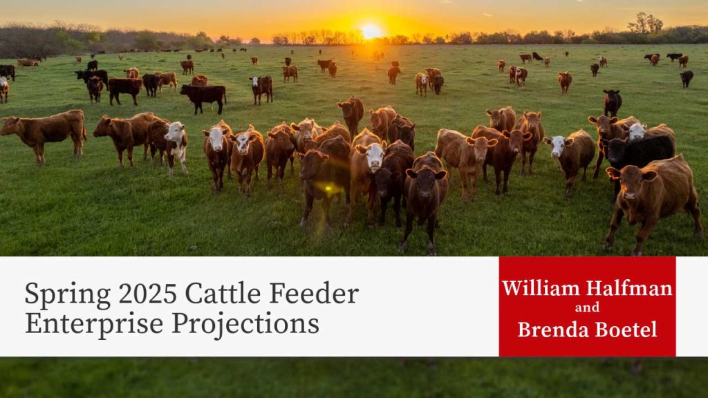 Spring 2025 Cattle Feeder Enterprise Projections