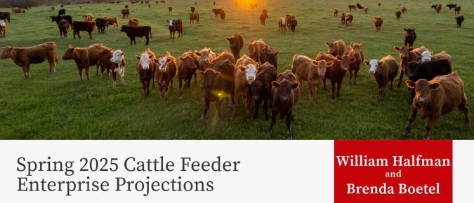 Spring 2025 Cattle Feeder Enterprise Projections