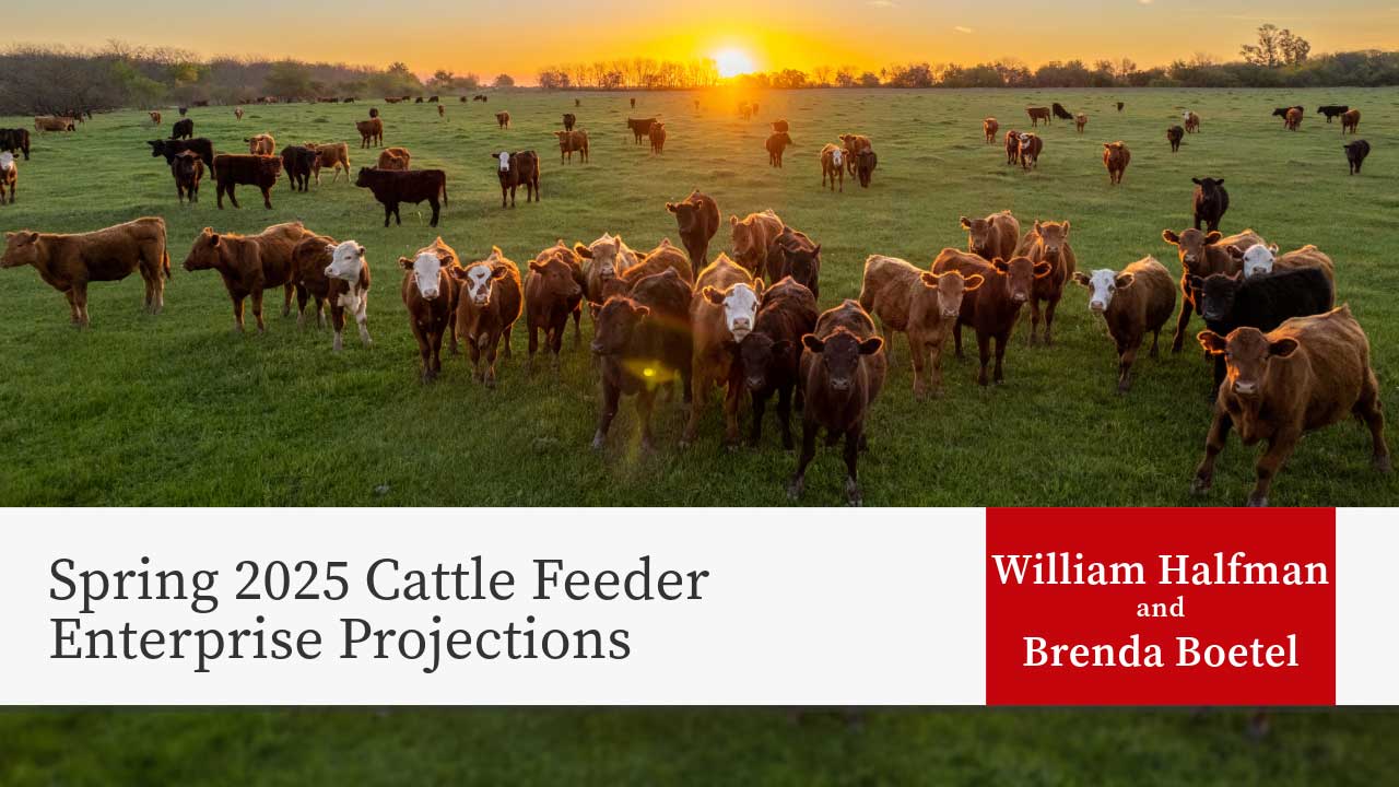 Spring 2025 Cattle Feeder Enterprise Projections
