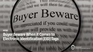 Buyer Beware When it Comes to Electronic Identification (EID) Tags