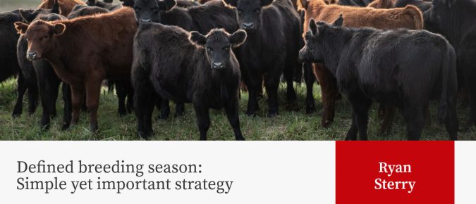 Defined breeding season: Simple yet important strategy